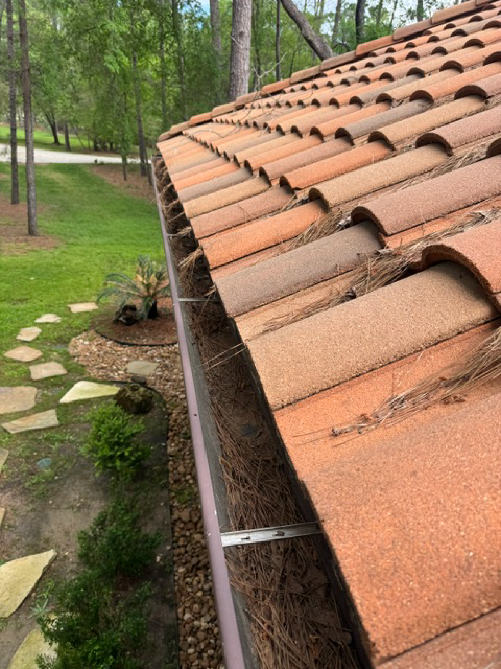 Roof and gutter detail